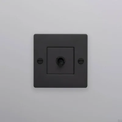 Interrupteur simple sans logo Cross 1G Acier Noir Norme européenne