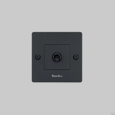 Interrupteur simple avec logo Linear 1G Acier Noir Norme européenne