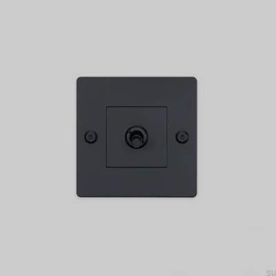 Interrupteur simple sans logo, linéaire 1G, acier noir, norme européenne