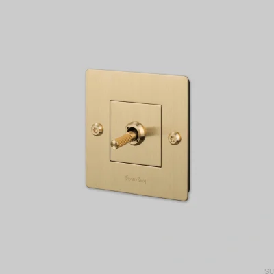 Interrupteur simple avec logo Linear 1G, en laiton, conforme aux normes européennes