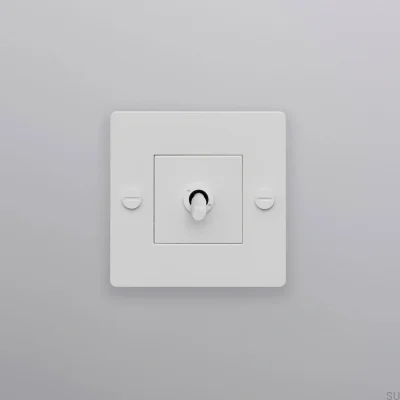 Interrupteur simple sans logo Cross 1G Acier Blanc Norme européenne