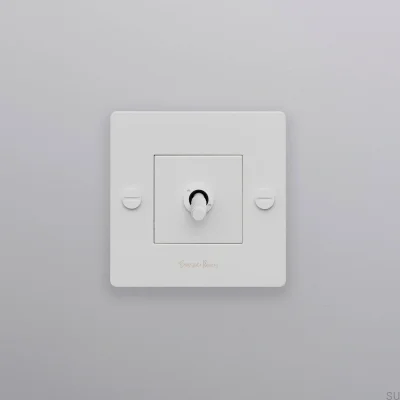Interrupteur simple avec logo Cross 1G, acier, blanc, norme européenne