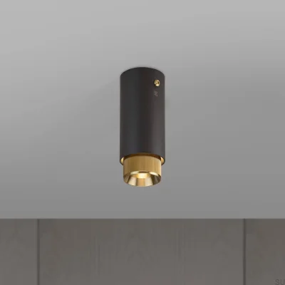 Spot de plafond linéaire Exhaust, acier graphite avec laiton