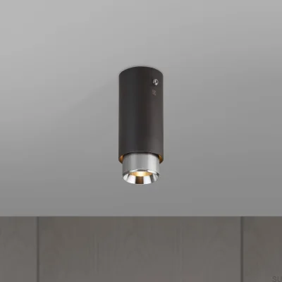 Échappement linéaire en acier graphite avec projecteur de plafond argenté