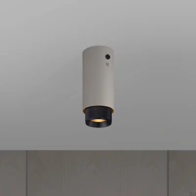 Échappement Cross Gris Acier avec spot de plafond noir