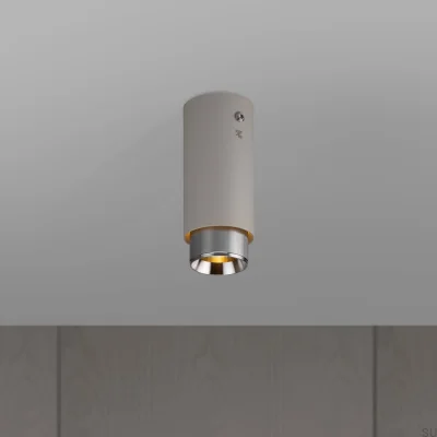 Échappement linéaire gris acier avec spot de plafond argenté