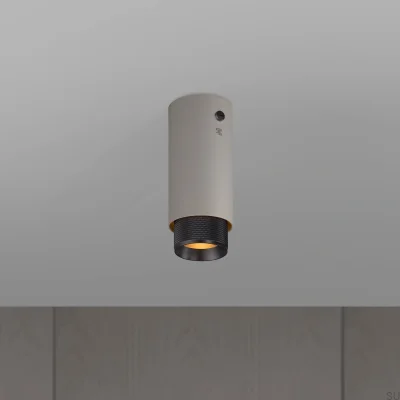 Échappement Cross Gris Acier avec Spot de plafond Bronze Brûlé