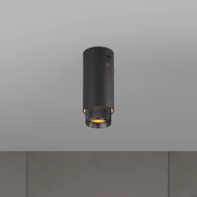 Spot de plafond en croix avec conduit d'évacuation, acier graphite et bronze brûlé