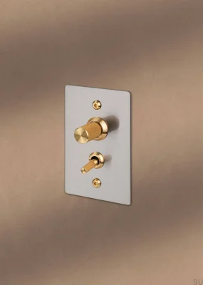 Ensemble décoratif pour l'interrupteur Detail Linear Steel White