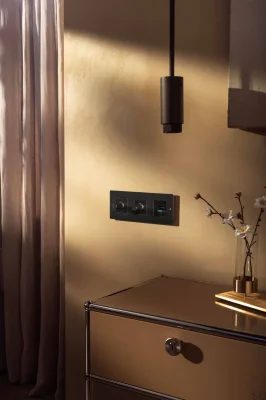 Vis décoratives pour le cadre Détail linéaire Bronze brûlé