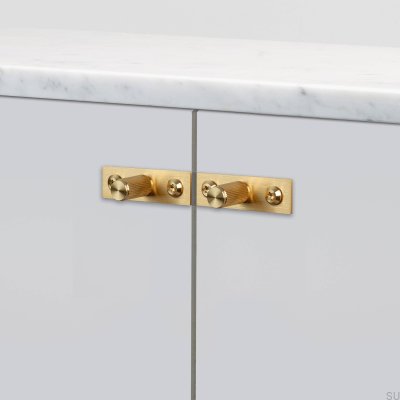 Bouton de meuble avec rondelle Linear Plate 12 Laiton (lot de 2)