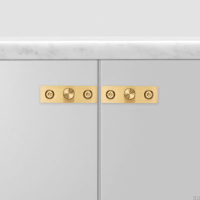 Bouton de meuble avec rondelle Linear Plate 12 Laiton (lot de 2)