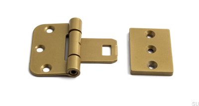 Charnières de porte symétriques 2465 Acier doré (lot de 2)